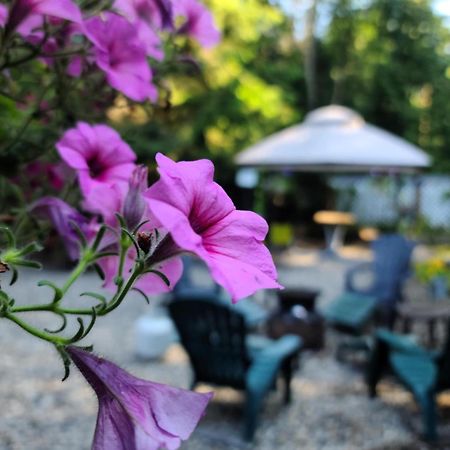 Grizzly Paw B&B Clearwater Exterior foto