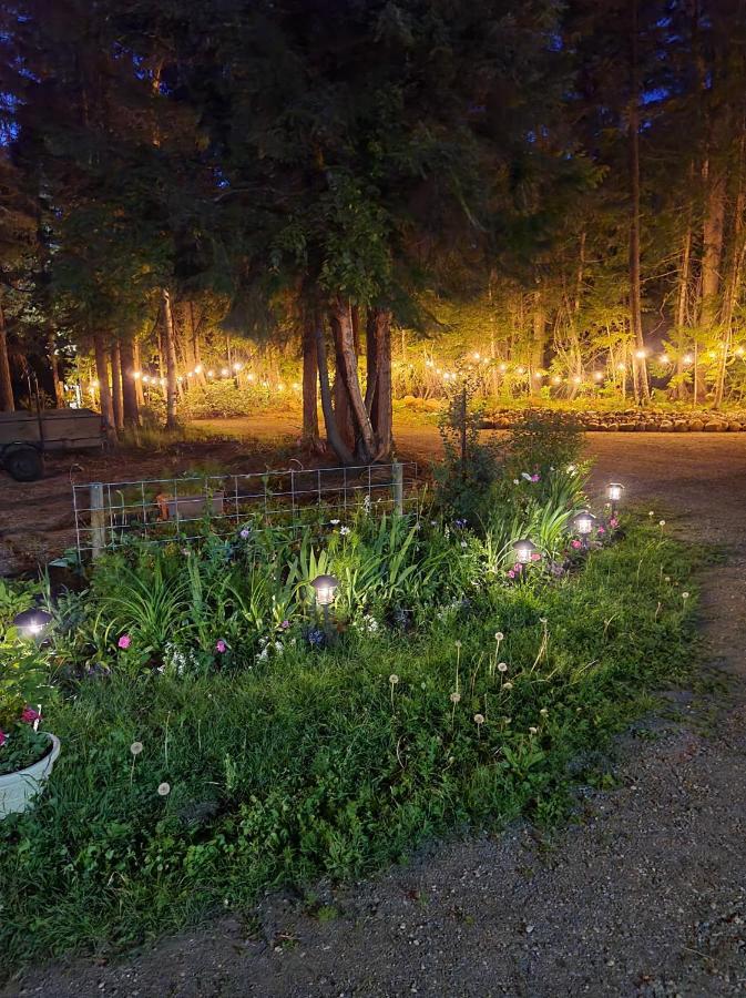 Grizzly Paw B&B Clearwater Exterior foto